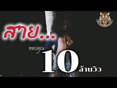 สาย - เสือสองเล【OFFICIAL MV】สืบสานตำนานเพลงอาจารย์เอนก ร็อคพันทาง N0.1/10