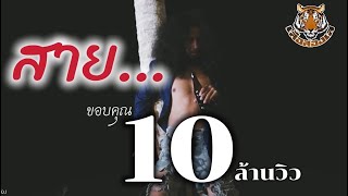 สาย – เสือสองเล