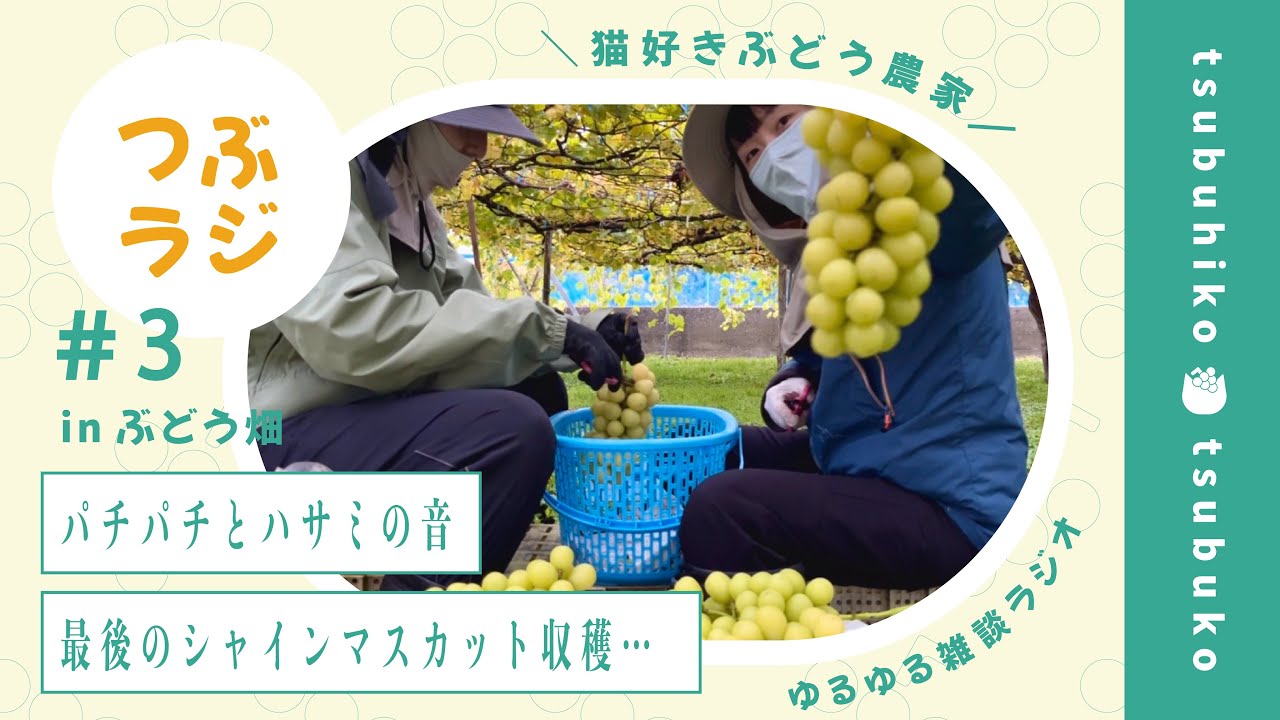 YouTubeサムネイル