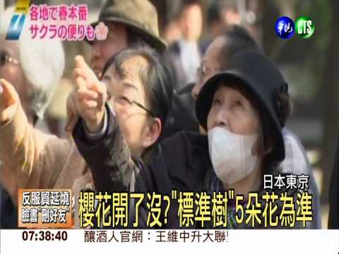 4/1漲消費稅 東京"賞櫻團"搶便宜!