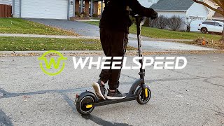 Wheelspeed 350w E-SCOOTER: The scooter on a budget!