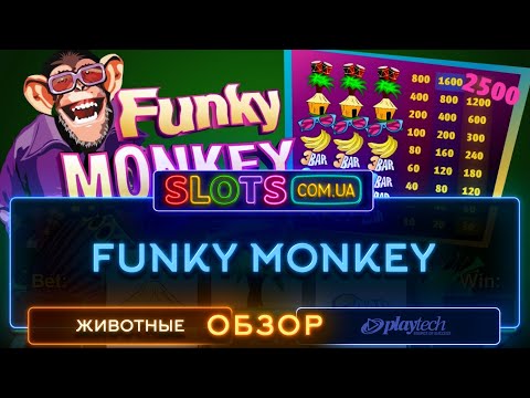 Funky Monkey