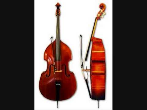 Strunové sláčikové nástroje