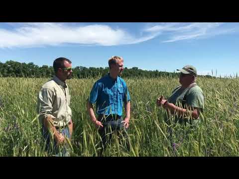 🌻 Gabe Brown’s Most Profitable Crop & Understanding Regenerative Agriculture