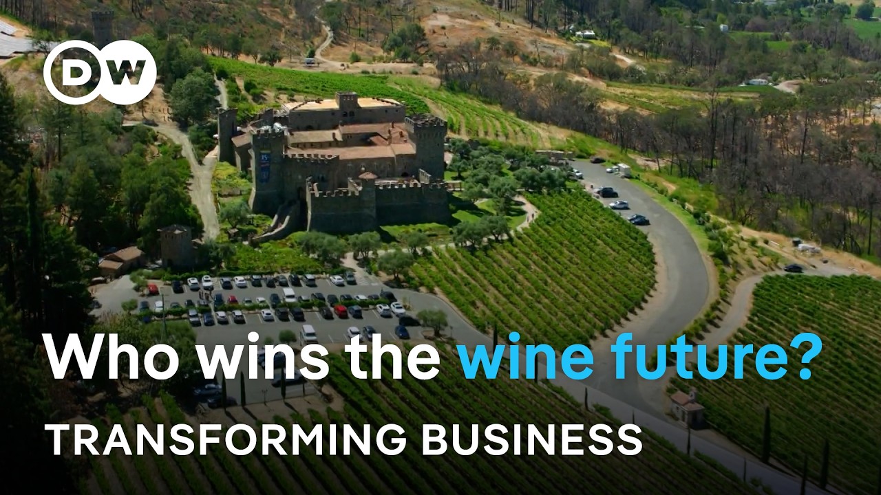 How climate change is reshaping the world's wine map | Transforming Business