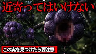 この実を見かけたら絶対に近づいてはいけません。【ゆっくり実況ミステリーARG】【こもれび果樹園　おかしなサイト】【ゆっくり実況プレイ】