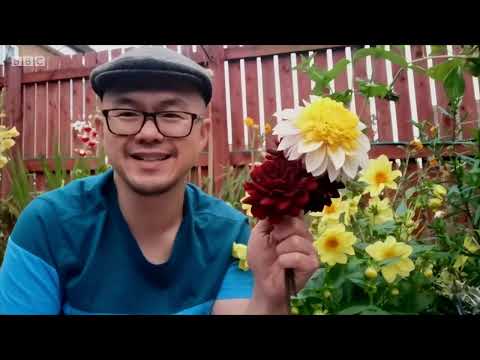 Gardeners World 2021 S54E24