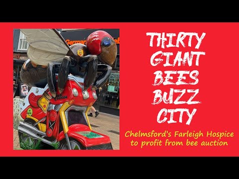 CRHnews - What's the huge buzzing in Chelmsford?