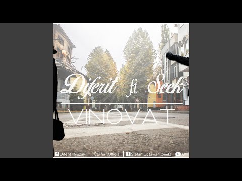 Vinovat (feat. Seek)