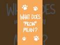 what Does Meow Mean?