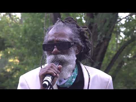 Don Carlos and Dub Vision 'Hog and Goat/Rootsman Party/I Like It' Right Vibes Fest June 19 2021
