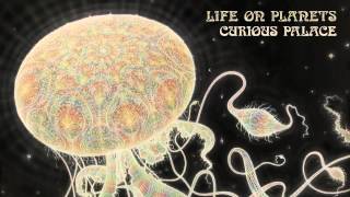 Life on Planets - Meantime