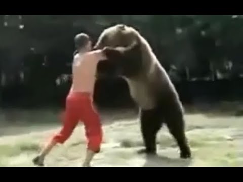 Khabib Nurmagomedov vs. Bear