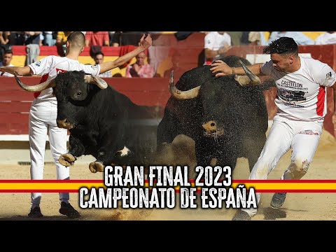 🇪🇸🏆 GRAN FINAL CAMPEONATO DE ESPAÑA RECORTADORES CON TOROS 2023 · CASTELLÓN