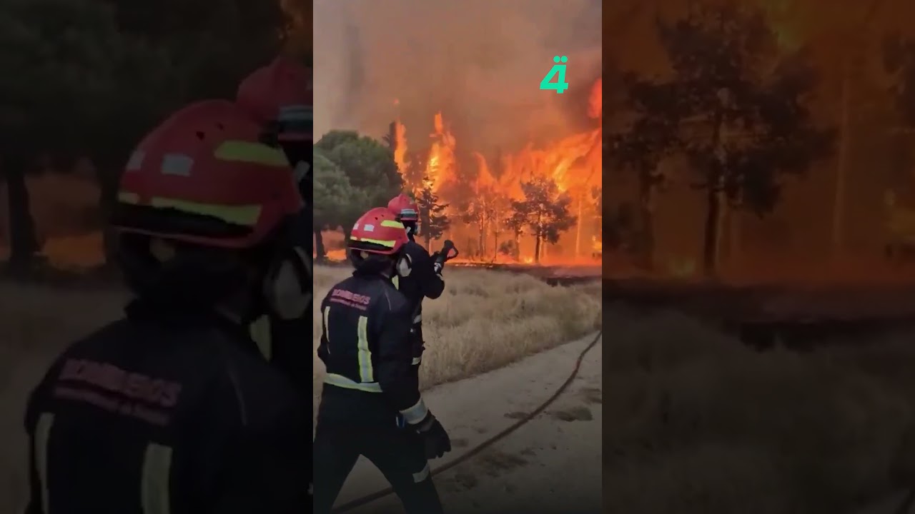 فيديو | حرائق هائلة تجتاح غابات إسبانيا.. وفرق الدفاع المدني عاجزة عن السيطرة
