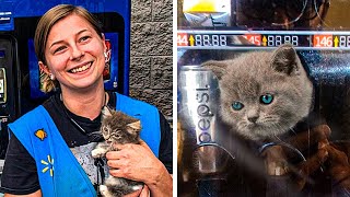 Kitten Stuck In Walmart Vending Machine