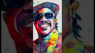 love light in flight/stevie wonder