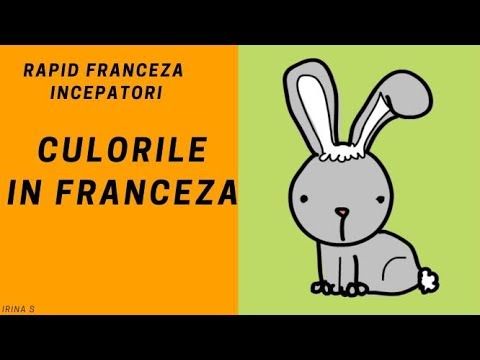 Franceza pentru incepatori(2018) - culorile in franceza