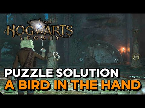Hogwarts Legacy - A Bird In The Hand / Light & Dark Puzzle Solution