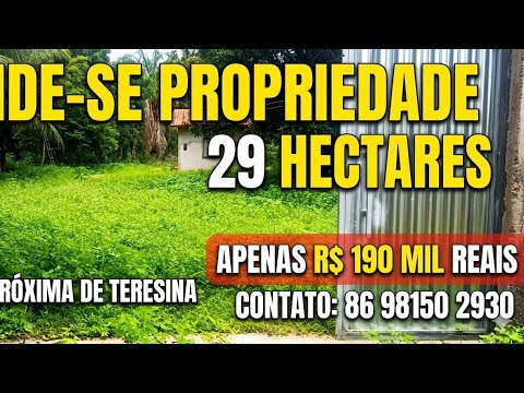 PREÇO REDUZIDO PROPRIEDADE DE 29 HECTARES PROXIMO A JOSÉ DE FREITAS PIAUÍ