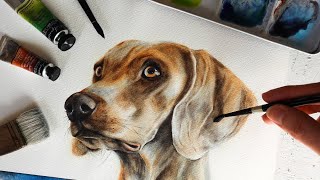 Watercolor Animals are EASY With this Technique