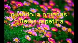 Hay algo en Ella   Dyango