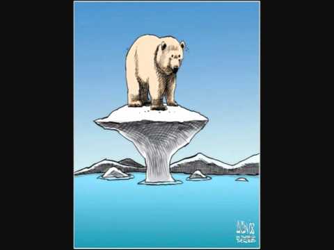 The Nuri - Polar Bear