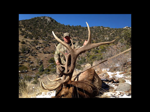 Big Bull Late Elk Hunt Utah 2015( 740 yard killshot)