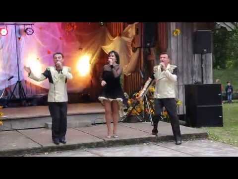 Pusbroliai Aliukai ir  sesutė Silvija - Čigonėlė .