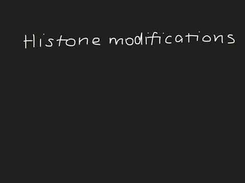 Epigenetics Explained | Ep.4 Histone modifications