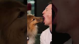 Download lagu This kiss with a dog may have gone too far… mp3