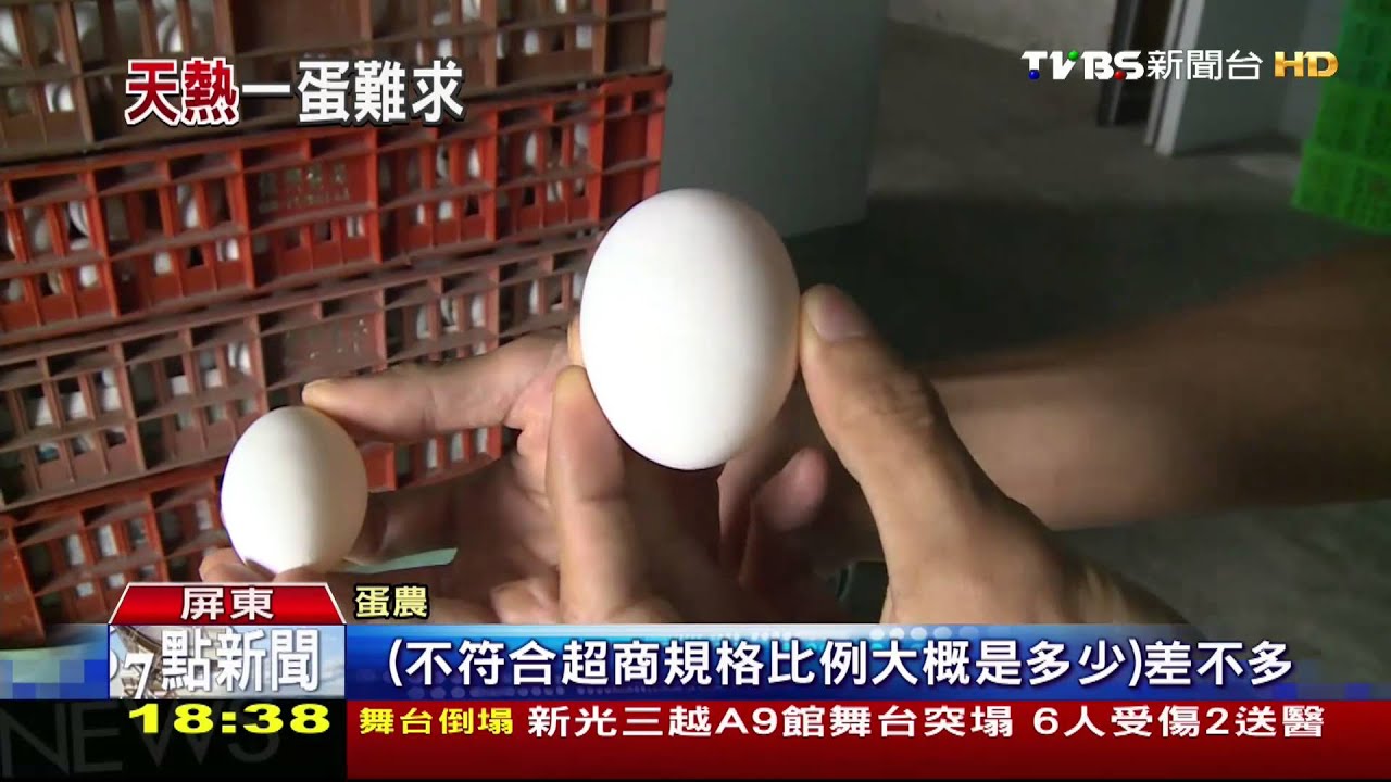 太熱雞生不出蛋? 超商缺盒裝蛋、茶葉蛋難買