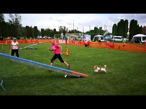 IX. Szigetköz Kupa - Dorka Open Agility