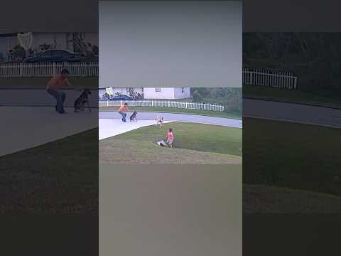 No Ando Solo 🔥| Bryant Myers #rap #trap #badbunny