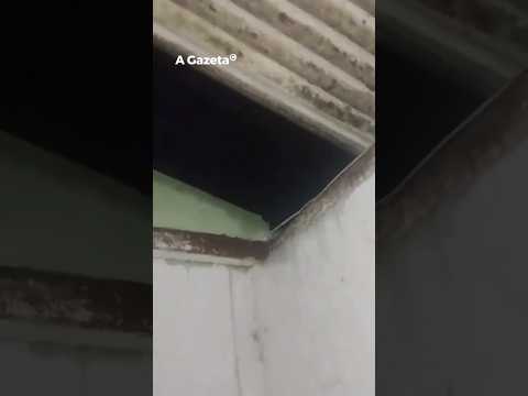 Chuva deixa casas destelhadas e provoca queda de árvores em Águia Branca   #shorts #noticias