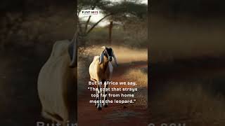 Download lagu Every choice matters #funt #funtimesmagazine #africanproverbs #wisdom mp3