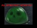 All Minecraft Mobs in Real Life!