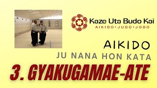 3. Gyakugamaeate