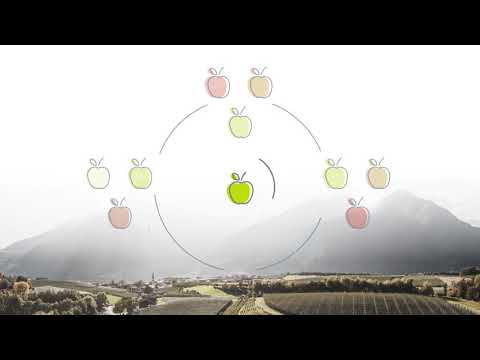 sustainapple - The ABCs of sustainability