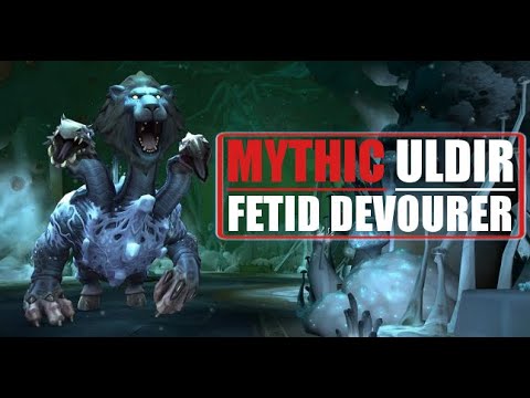 Mayhem vs Fetid Devourer Mythic - Resto Druid PoV