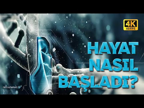 Hayat Nasıl Başladı? (Belgesel) I 4K