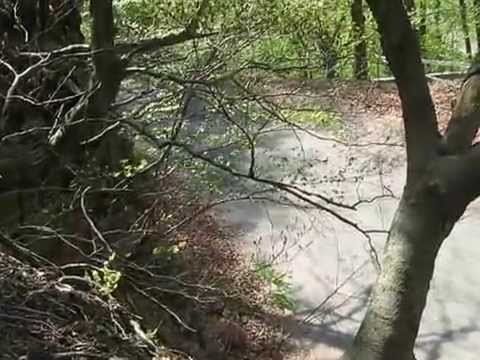 1°rally day 2 laghi 2014 Funicelli - Moia Peugeot 207 r3t