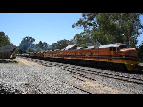 Empty Genesee and Wyoming Grain Train at Balhannah with CLF6 CLF5 2210 2214 18/02/2015