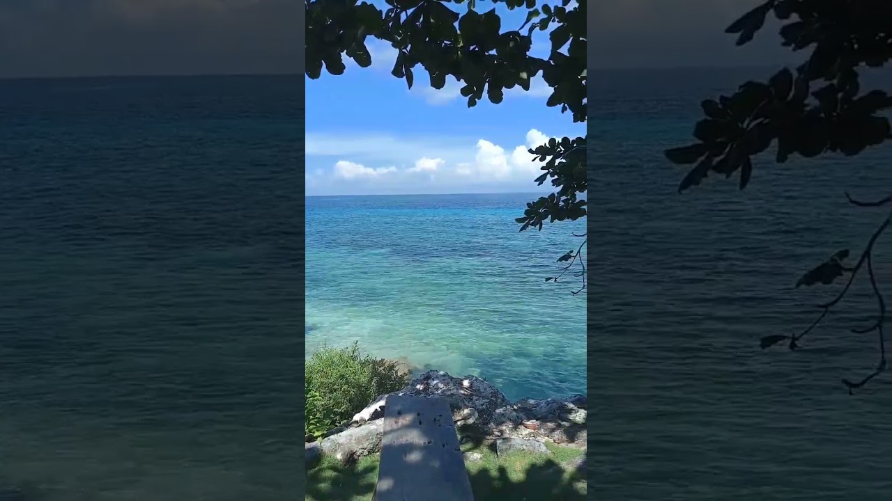 YouTube Short thumbnail