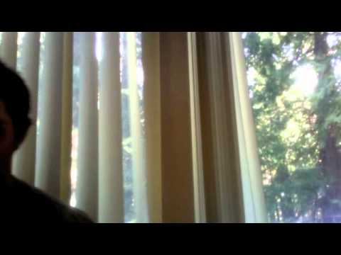 Kiefer the cat getting down