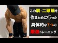 僕の肩・二頭筋そしてプランシェを急速に発達させた7つのトレーニングを練習動画を見ながら解説!!【自重トレ】
