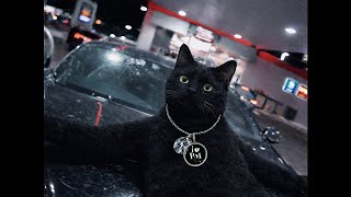 Cover art for BAD H*ES