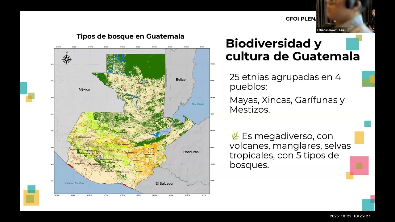 Lessons from Guatemala and Peru: Progress and challenges in forest monitoring | GFOI Plenary 2025