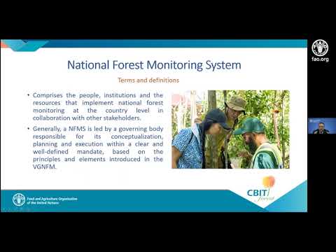 Establishing and implementing sustainable national forest monitoring systems
