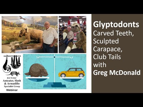 Glyptodonts: Carved Teeth, Sculpted Carapace, & Club Tails with Greg McDonald